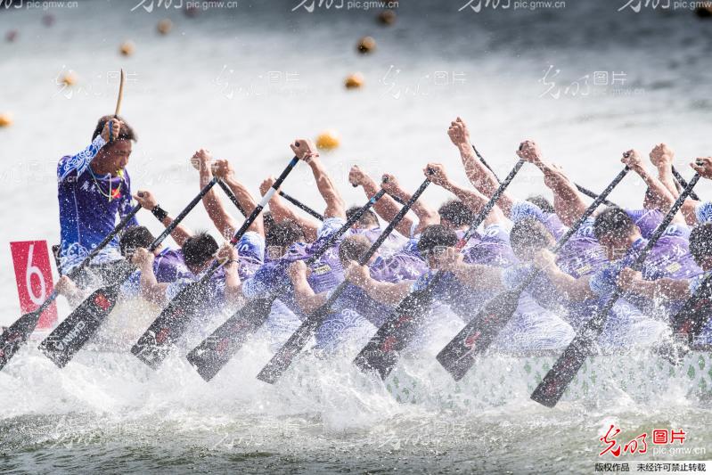 湖南龍船比賽視頻觀看與體驗指南，精彩瞬間一網(wǎng)打盡！