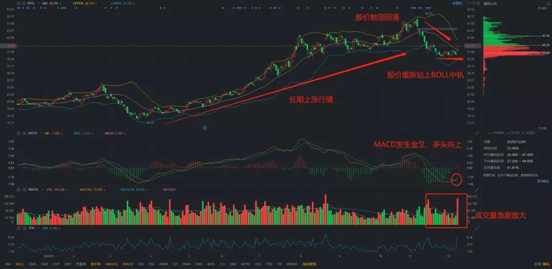 歌爾股票，小巷深處的隱藏寶藏揭秘，特色小店的股市奇妙之旅