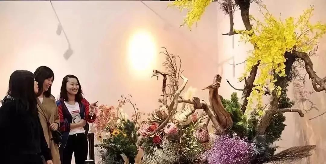 納蘭靜語最新現(xiàn)代作品——智能生活新紀元，科技重塑未來體驗的魅力