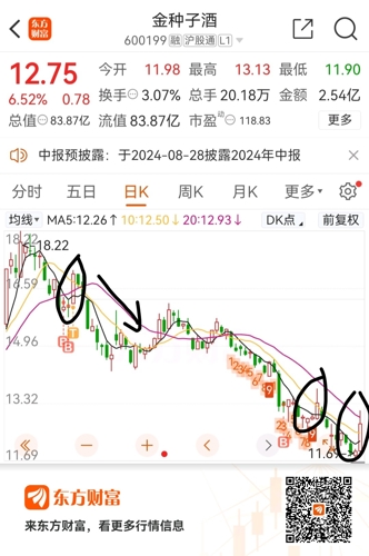 金種子酒股價(jià)最新動(dòng)態(tài)及小巷深處的釀酒傳奇揭秘