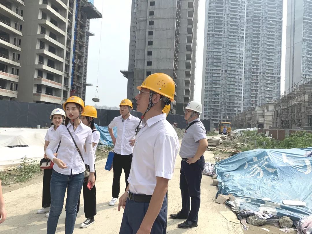 成都洺悅府最新動態(tài)揭秘，科技府邸，未來生活搶先體驗