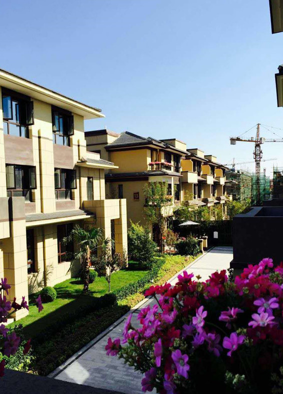 寶格麗小鎮(zhèn)最新資訊，學(xué)習(xí)變化，自信閃耀，共創(chuàng)美好未來成就