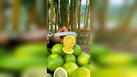 平湖最新資訊，城市脈動與成長見證