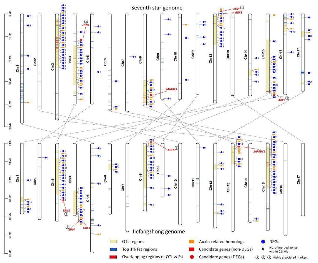 ＂新澳六開彩開獎號碼記錄＂的：數(shù)據(jù)整合解析計(jì)劃_智慧版4.19