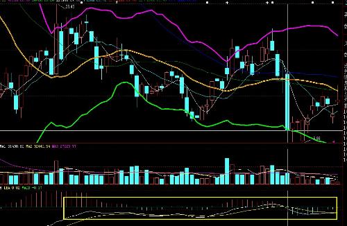 波動行情與內(nèi)心寧靜的探索之旅，自然美景下的心靈對話