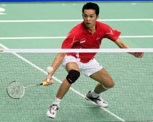 陶菲克羽毛球比賽視頻，觀看與學(xué)習(xí)指南