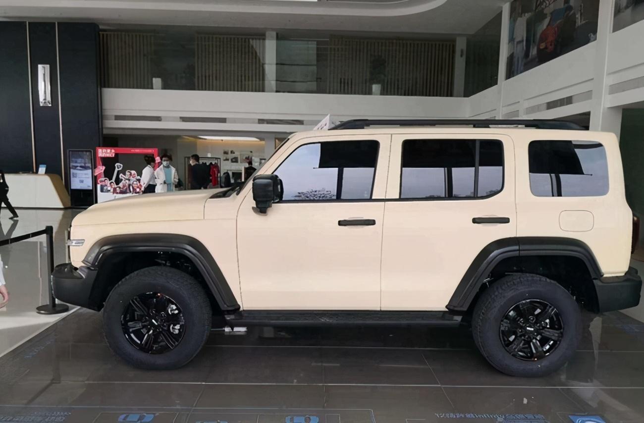 坦克300價(jià)格探秘，小巷中的意外驚喜