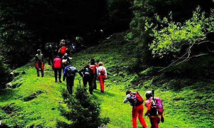 最新后峽動態(tài),最新后峽動態(tài)，發(fā)展與變化的深度探索