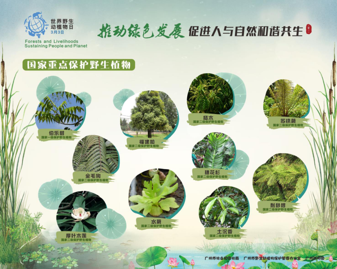 ＂0149開(kāi)獎(jiǎng)澳門(mén)網(wǎng)＂的：植物保護(hù)_見(jiàn)證版3.37