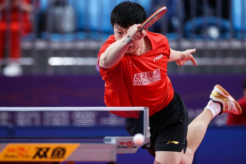 中國(guó)乒乓球明星的奮斗與榮耀，見證自信成就的力量之路