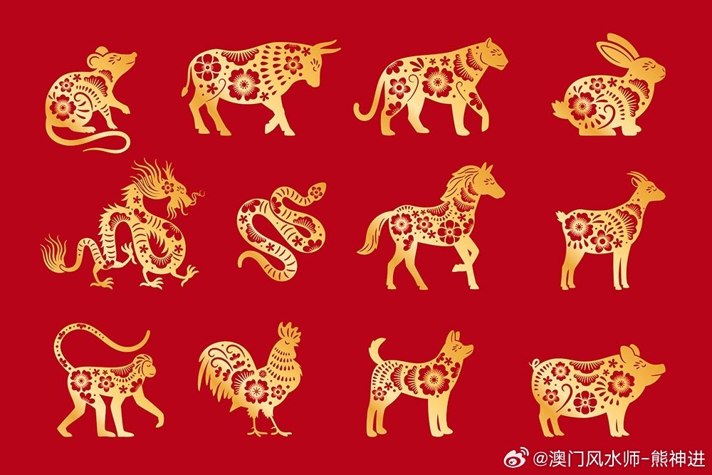 ＂2024年新澳門生肖走勢(shì)圖＂的：食品科學(xué)與工程_高效版4.25