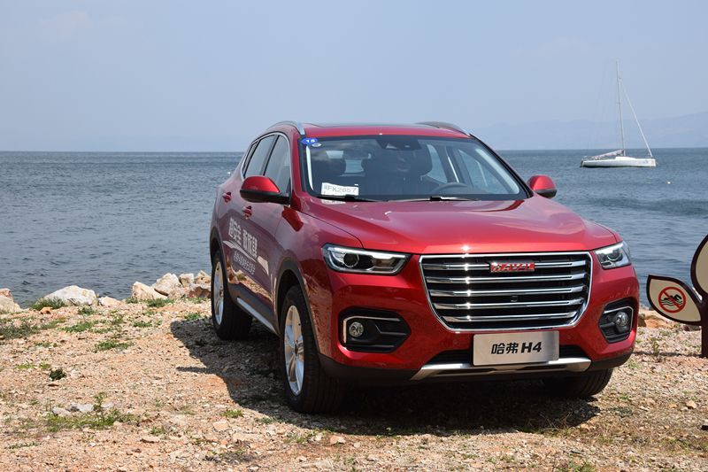 哈佛最新，自然美景治愈之旅探索