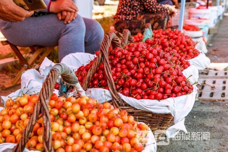 煙臺(tái)櫻桃上市,煙臺(tái)櫻桃上市，小巷深處的甜蜜誘惑