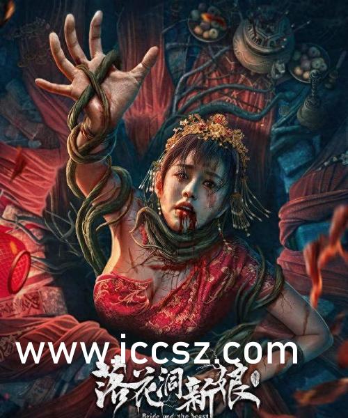 Seso最新資訊詳解，獲取與理解步驟指南