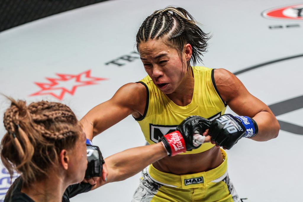 綜合格斗比賽，自然美景中的精神之旅對決