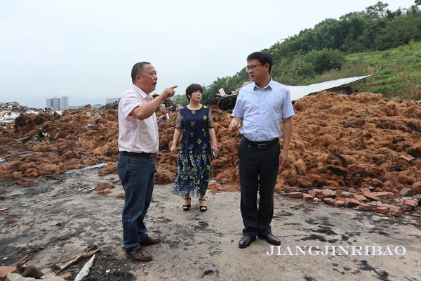 珞璜工業(yè)園規(guī)劃更新啟動(dòng)，重塑產(chǎn)業(yè)生態(tài)藍(lán)圖