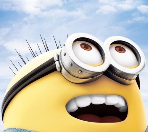 湖南下司犬最新上市，市場(chǎng)現(xiàn)象及各方觀點(diǎn)深度解析