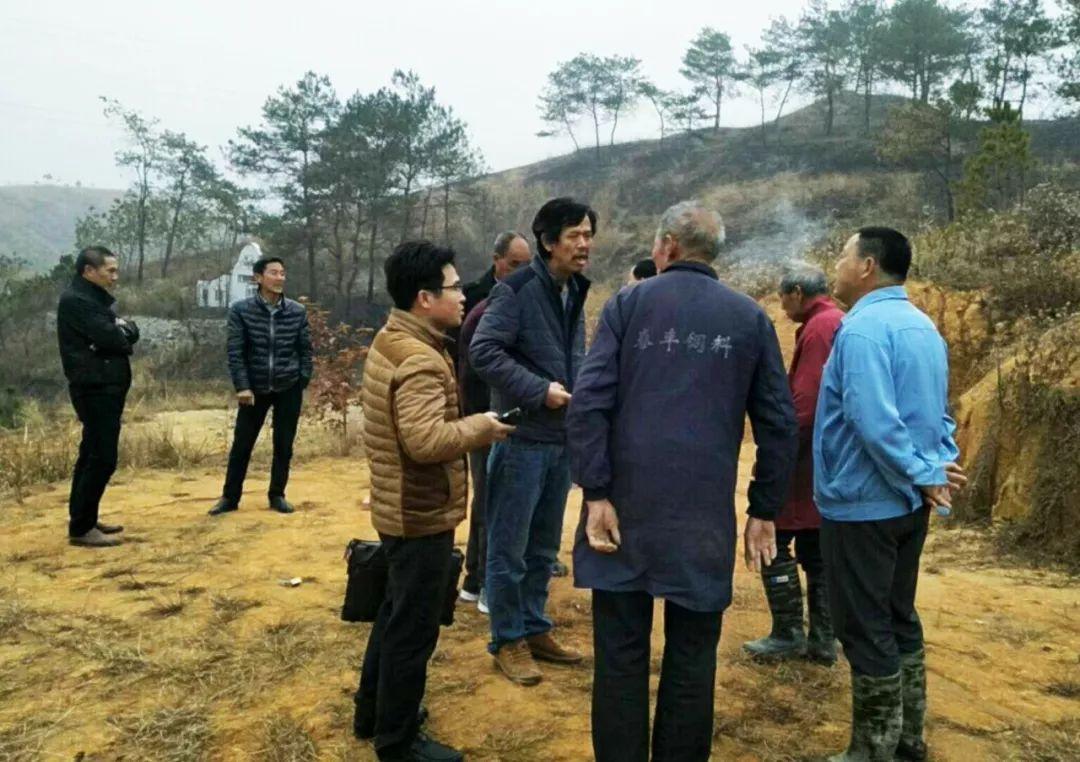 金牌調(diào)解精選，心靈與自然的完美邂逅