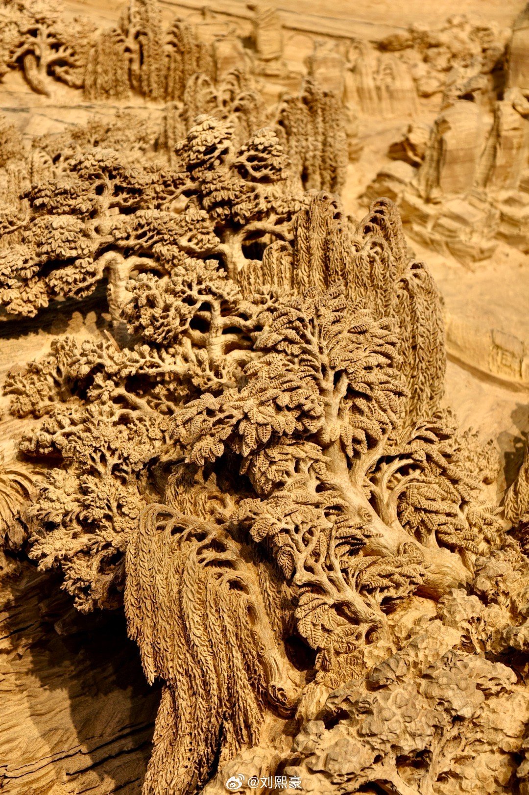 最新木雕藝術(shù)作品展示,最新木雕藝術(shù)作品展示步驟指南