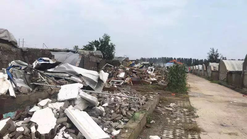 楊鎮(zhèn)拆遷最新動(dòng)態(tài)，科技引領(lǐng)重塑，開啟拆遷新篇章體驗(yàn)