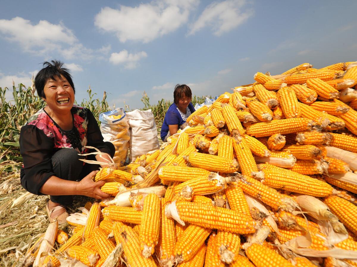 支持價格的詳細(xì)步驟指南與解析