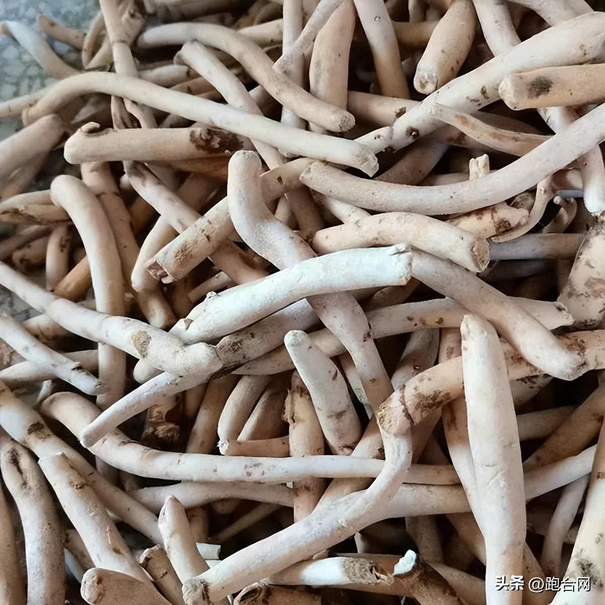 毫州藥材最新價(jià)格表，學(xué)習(xí)變化，成就自信之源