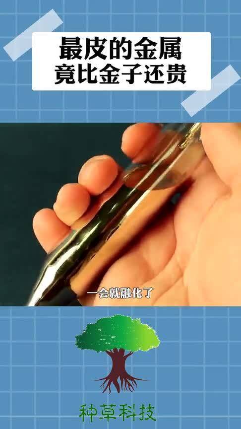 貴重金屬行情深度解析，市場趨勢與影響因素探討