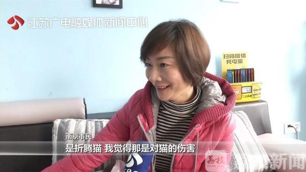 探索小巷中的神秘貓咪大賽，參賽指南與攻略