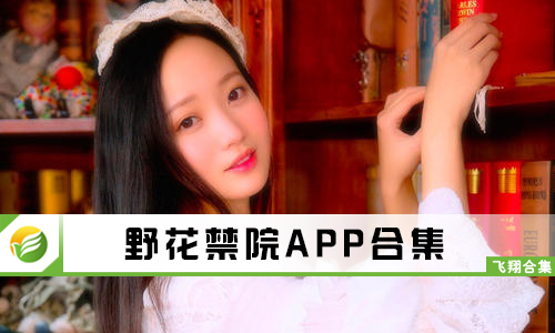 野花最新網址，網絡時代的獨特風景探索