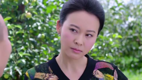 雙喜盈門演員，星光熠熠下的演技璀璨展現(xiàn)