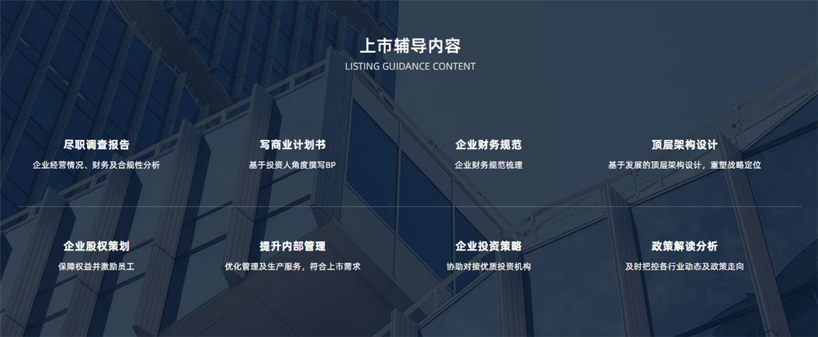 上市輔導(dǎo)內(nèi)容，啟航夢想，成就輝煌未來
