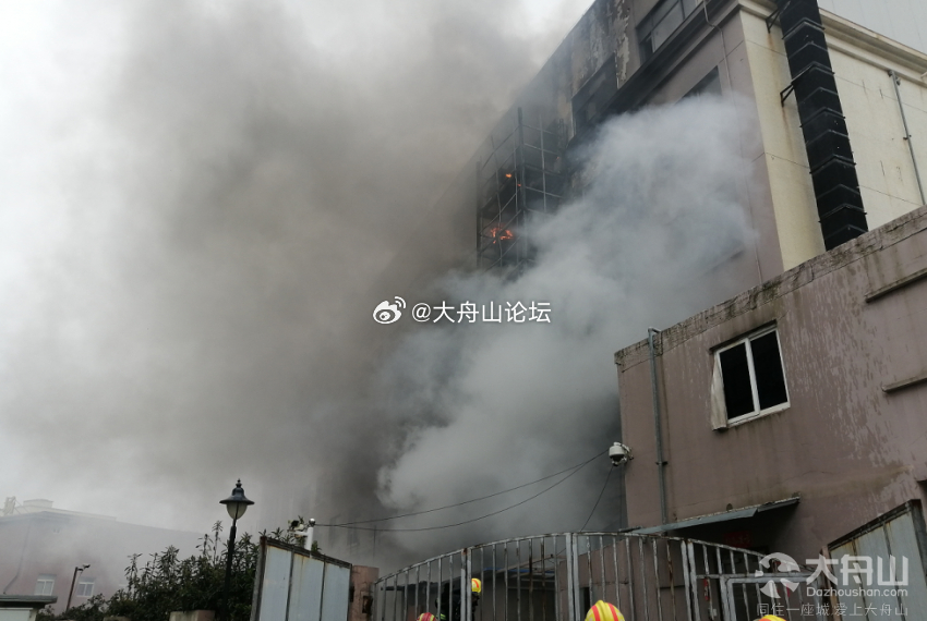 舟山火災(zāi)最新動(dòng)態(tài)，小巷深處的獨(dú)特?zé)熁鹞C(jī)