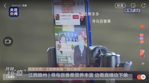 尋烏最新資訊深度解析，觀點闡述與最新動態(tài)報告