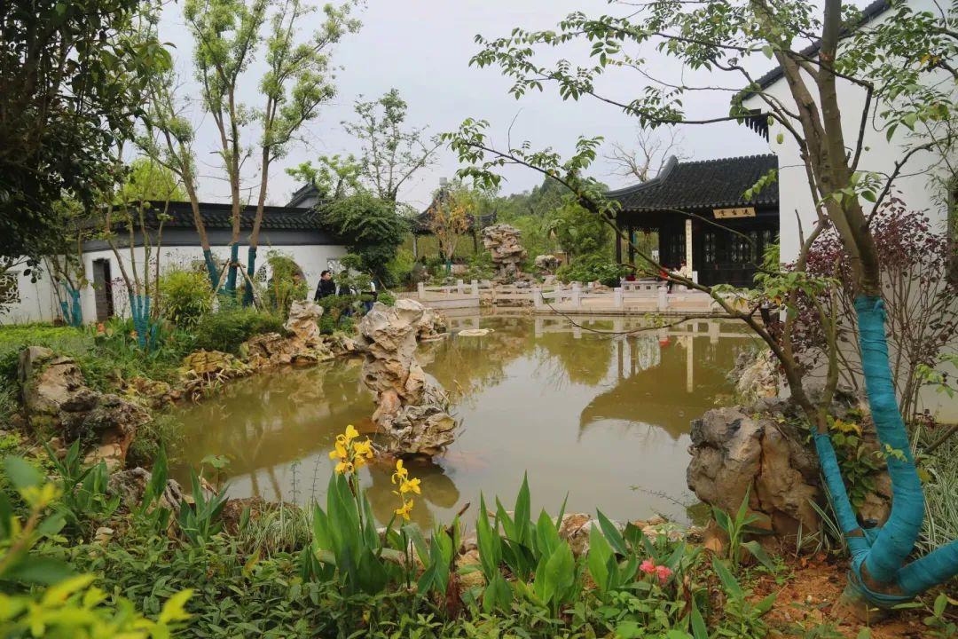 南寧園搏園最新動態(tài)揭秘，游園攻略與技能學(xué)習(xí)指南