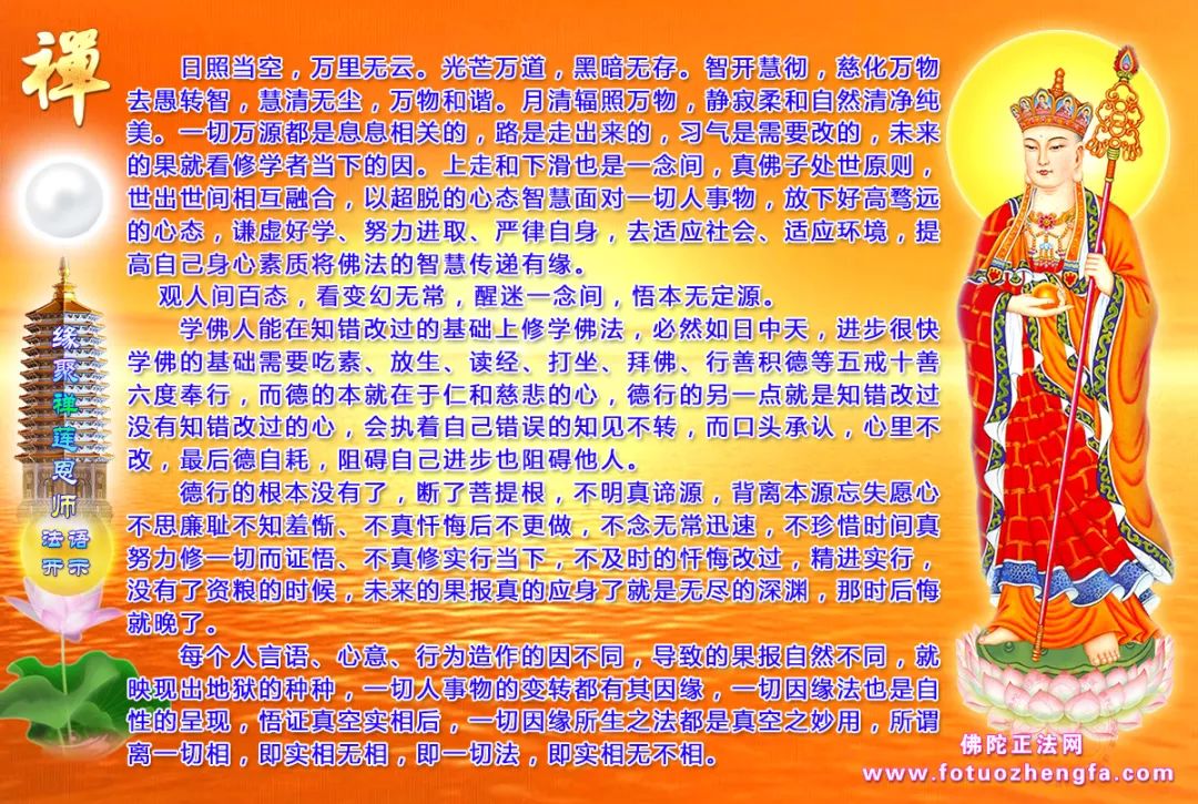 最新佛法開示揭秘，小巷深處的禪意寶藏探尋