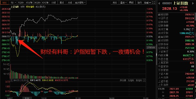 財(cái)?shù)佬星榉治雠c操作指南，初學(xué)者與進(jìn)階用戶的必備指南