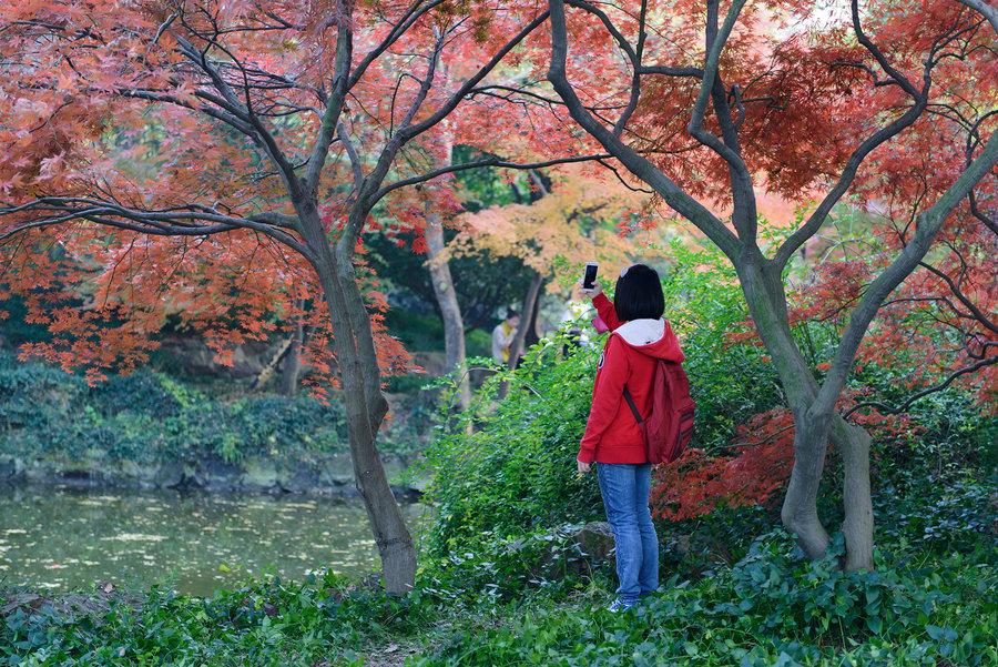 秋霞精選，電影藝術(shù)的獨特魅力及其深遠影響