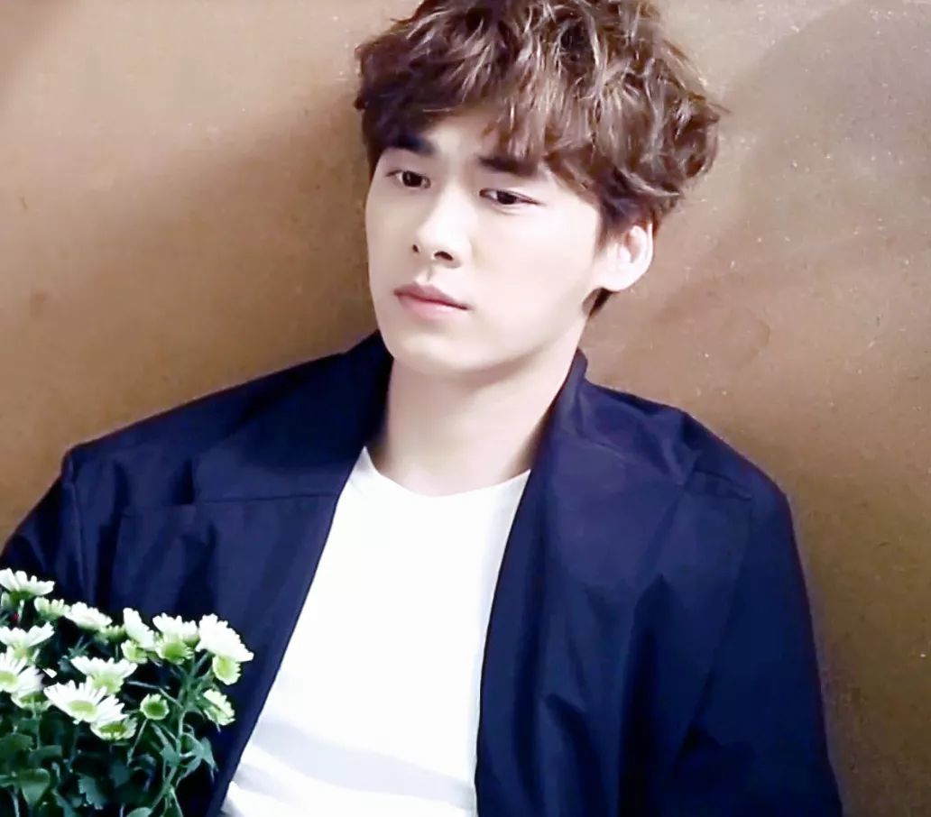 有耳鳴的明星,有耳鳴的明星，探索自然美景之旅，尋找內(nèi)心的寧?kù)o與平和