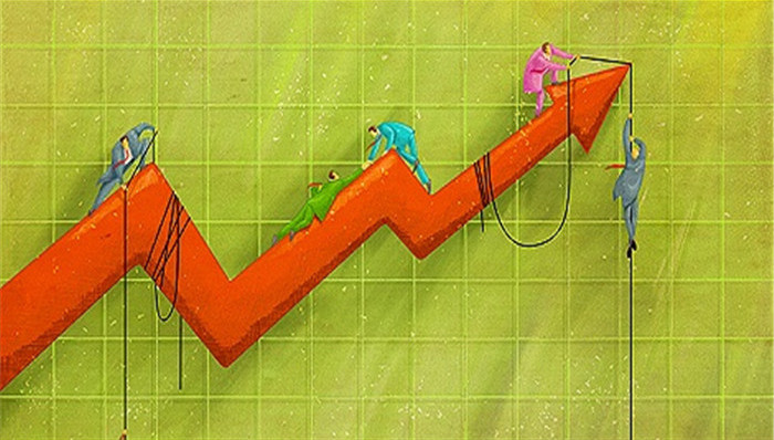 證金公司股票動態(tài),證金公司股票動態(tài)，一場自然美景的探索之旅