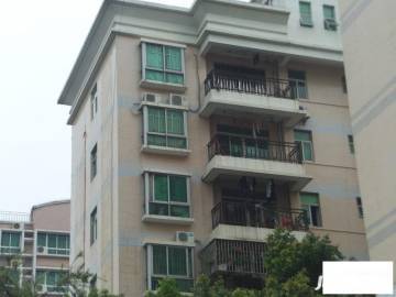 福田區(qū)二手房最新市場(chǎng)價(jià),福田區(qū)二手房最新市場(chǎng)價(jià)，一場(chǎng)探索自然美景的旅行