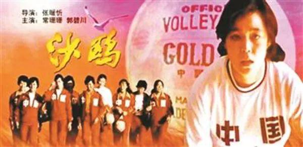 沙鷗電影,沙鷗電影，一種藝術(shù)表達(dá)方式的深度探討