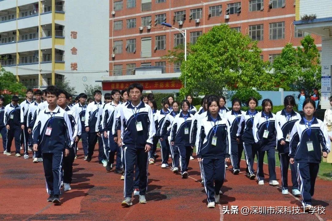 深寶安股票行情解析，前景分析與投資洞察