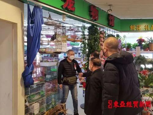 探索自然美景之旅，揭秘2017鷯哥銷售最新資訊，尋找內(nèi)心的平靜與喜悅