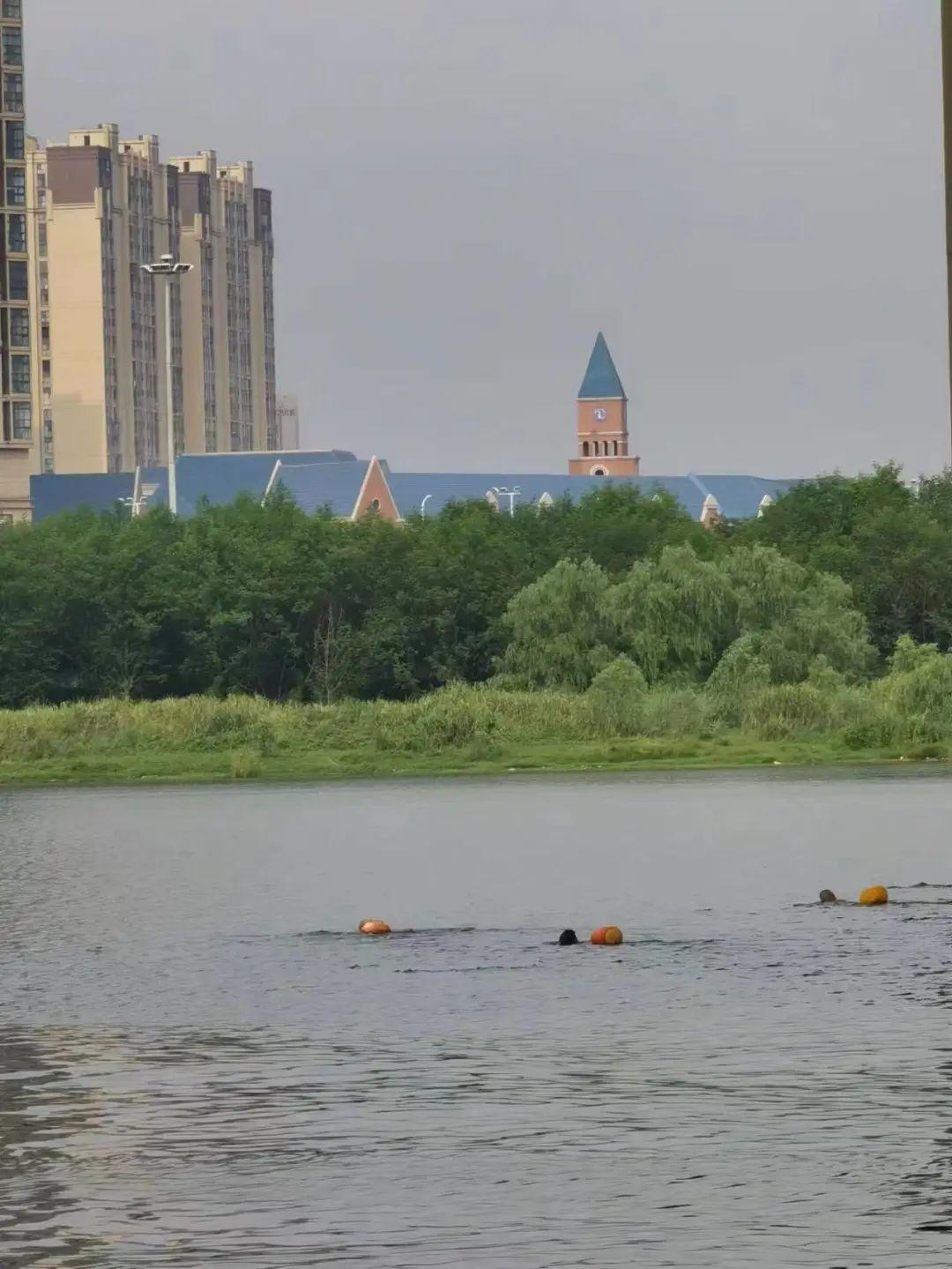 最新野泳之旅，自然美景的探索與愉悅體驗(yàn)