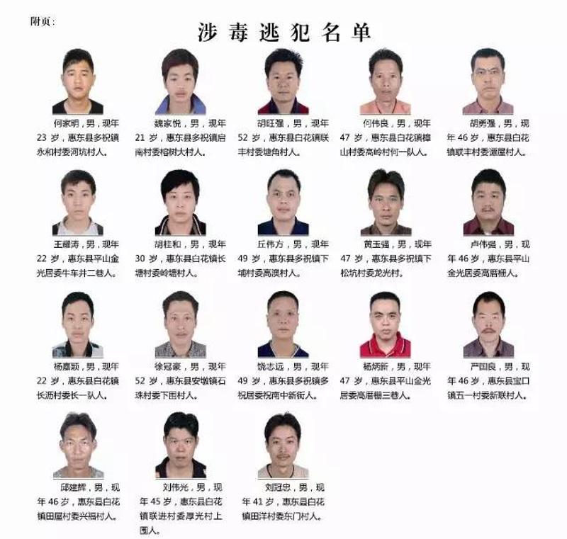 惠州最新通緝公告,惠州最新通緝公告，追逐變化，自信成就未來