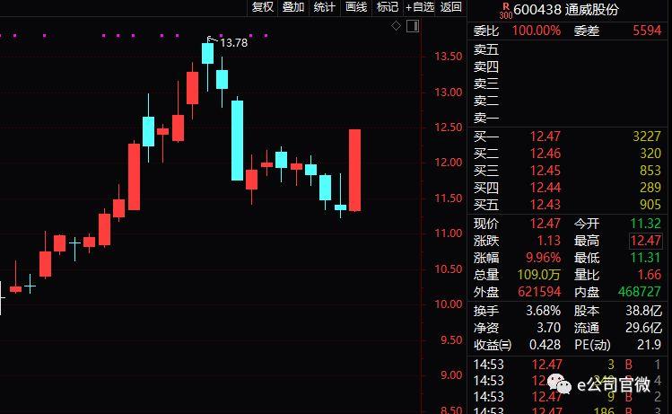 股票逆襲之路，開啟財(cái)富人生的新篇章從底部開始！