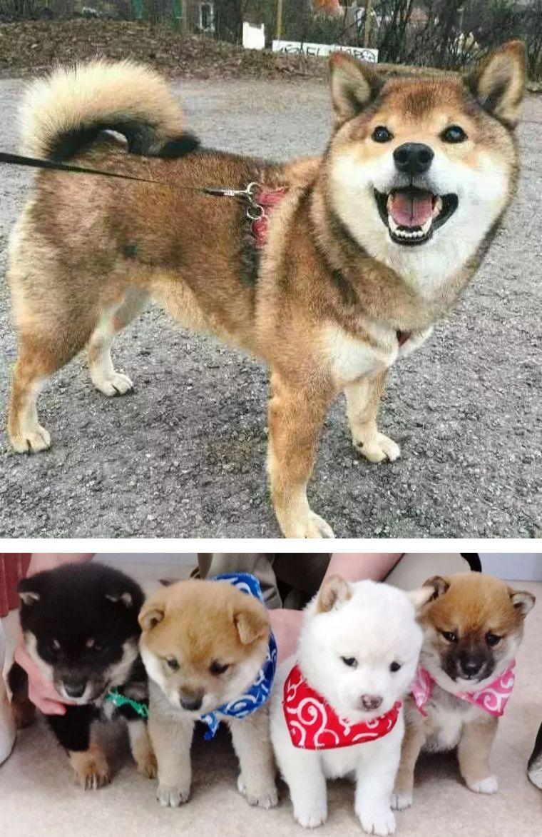 東京時尚風(fēng)向標(biāo)，探索日本最新潮流資訊