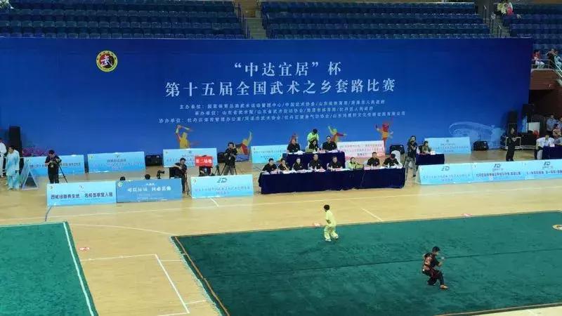 山東武術(shù)大賽，傳承與榮耀的盛宴，展現(xiàn)武術(shù)風(fēng)采的盛事！