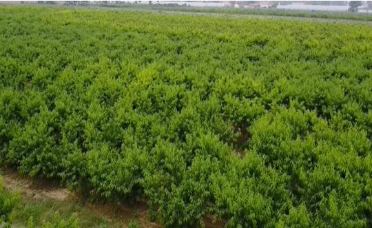 富平最新轉(zhuǎn)讓信息，變化中的機(jī)遇，成就感的源泉，自信閃耀時刻