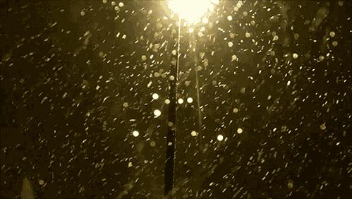 寶雞氣象預報更新，小巷深處的風情與美食探秘